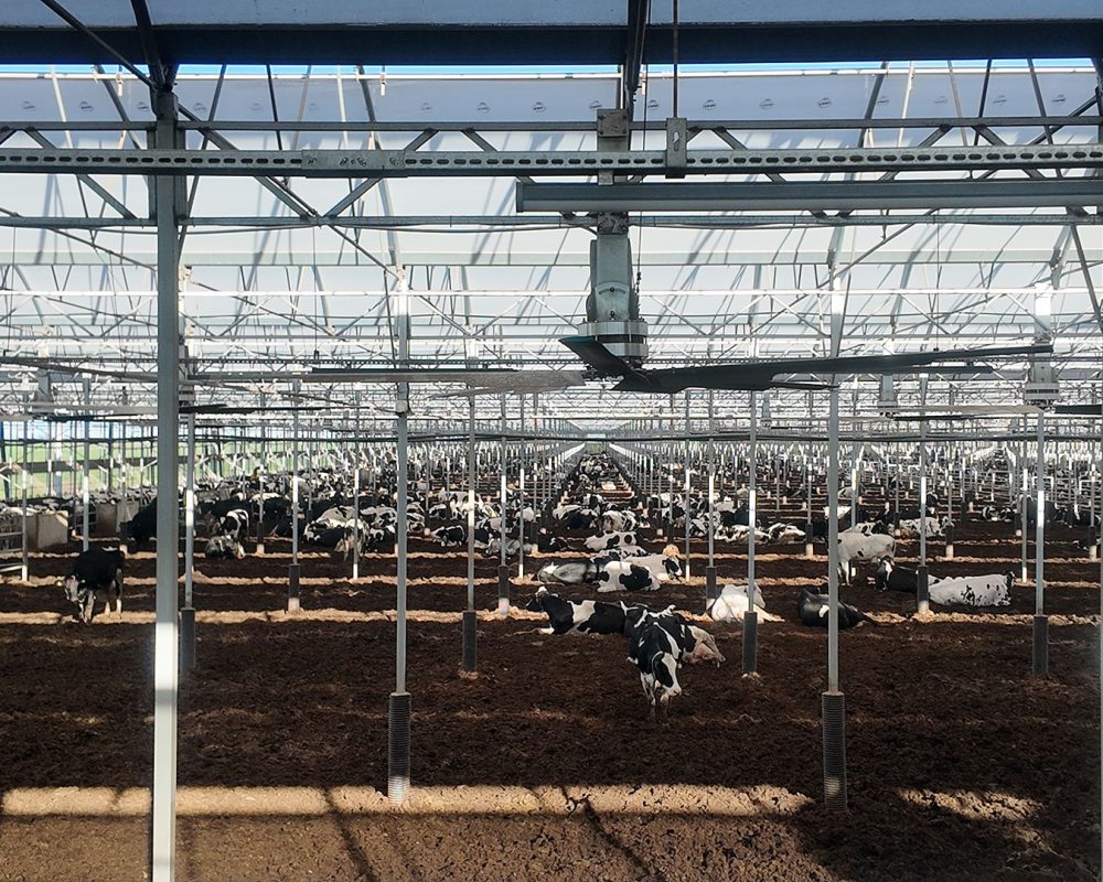 ai-farm-01