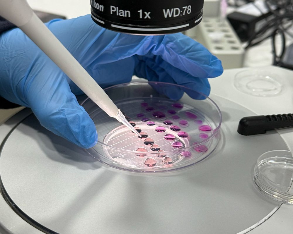 lab-04