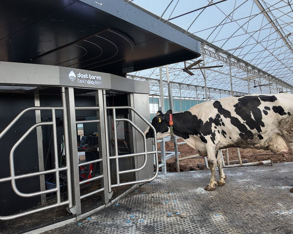milking-robot-02